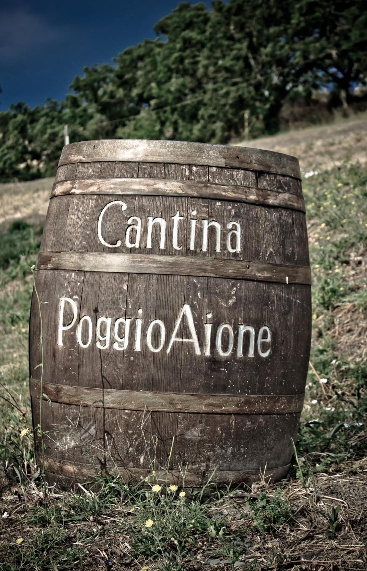 Country House Poggio Aione Guest House Catabbio Exterior foto