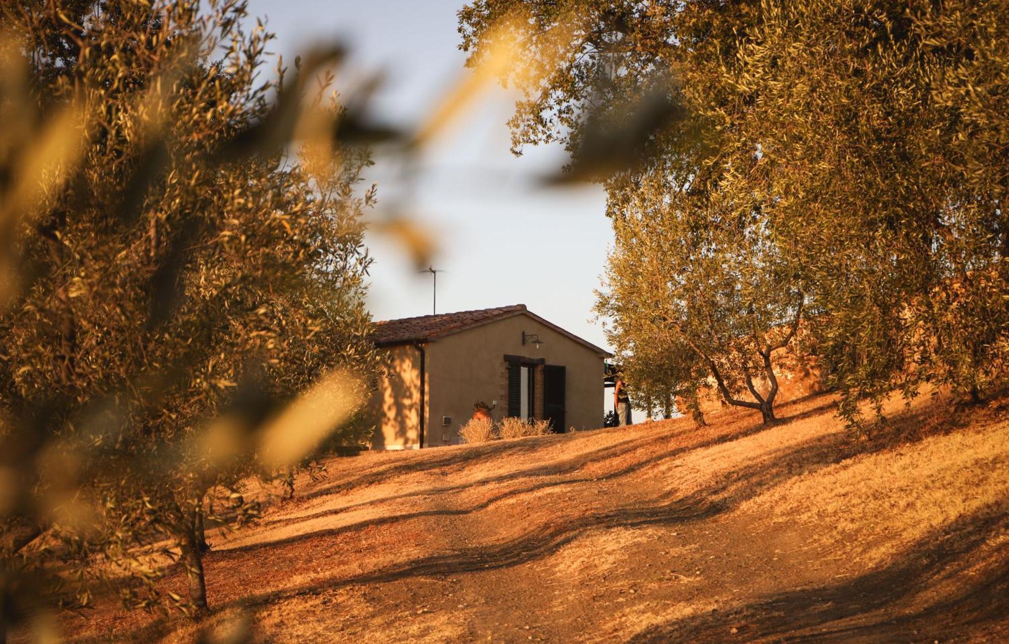 Country House Poggio Aione Guest House Catabbio Exterior foto