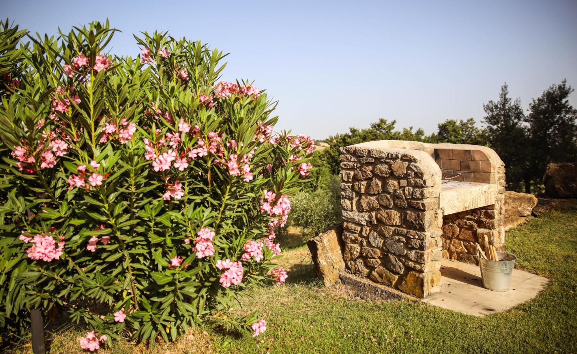 Country House Poggio Aione Guest House Catabbio Exterior foto